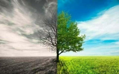 Pakistan's Climate Crisis: A Nation on the Brink